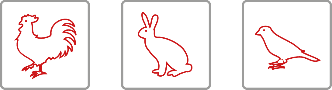 Rassekleintierzuchtverein V2 Lustenau